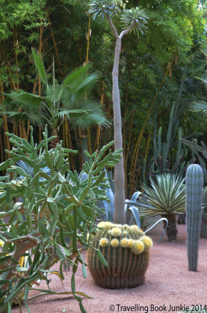 Majorelle Gardens Marrakech Morocco