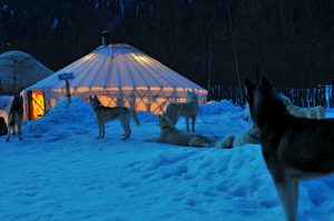 Tambako The Jaguar created the image of a yurt in the snow
