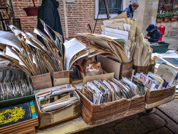 Hidden within the shelves of Libreria Acqua Alta in Venice you will not only find hoards of books but postcards, bookmarks, posters, calendars and even the odd cat relaxing here and there.