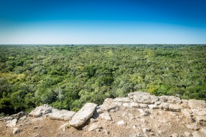 View from the top of Nohoch Mul, Coba in Mexico