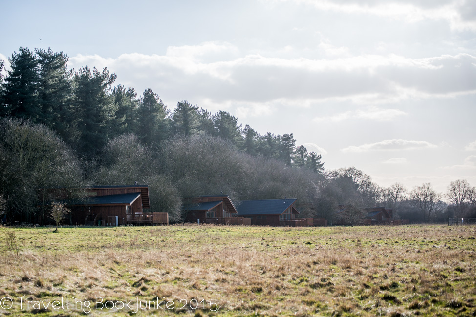 Logs in the meadow at thorpe forest forest holidays norfolk uk