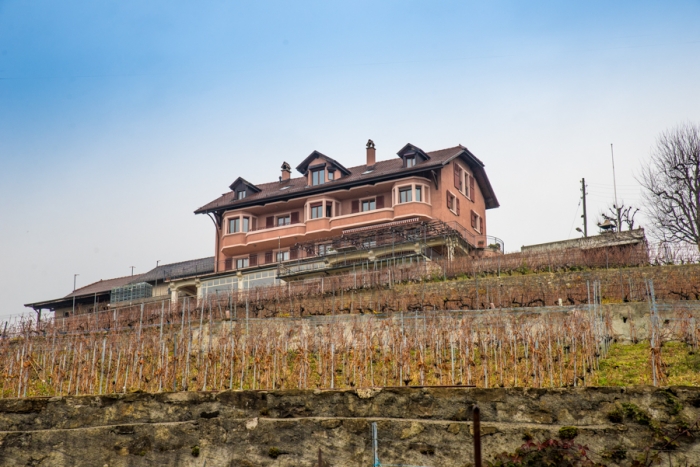 UNESCO vineyard, Lake Leman, Lake Geneva, Domaine Croix Duplex, Lausanne, Switzerland