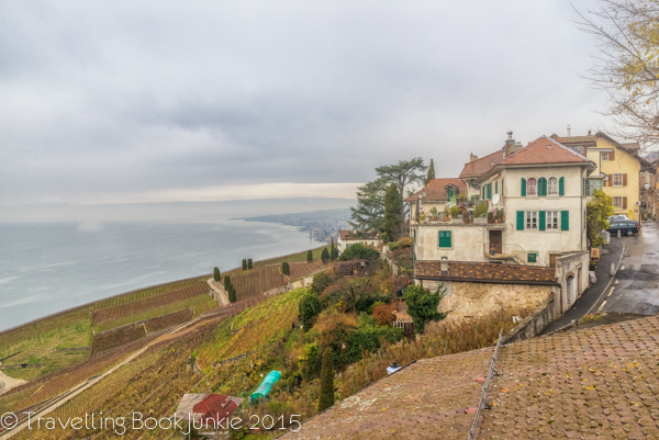 Domaine Croix Duplex, Vineyard, UNESCO, Lake Leman, Lake Geneva, Lausanne, Lavaux, Switzerland