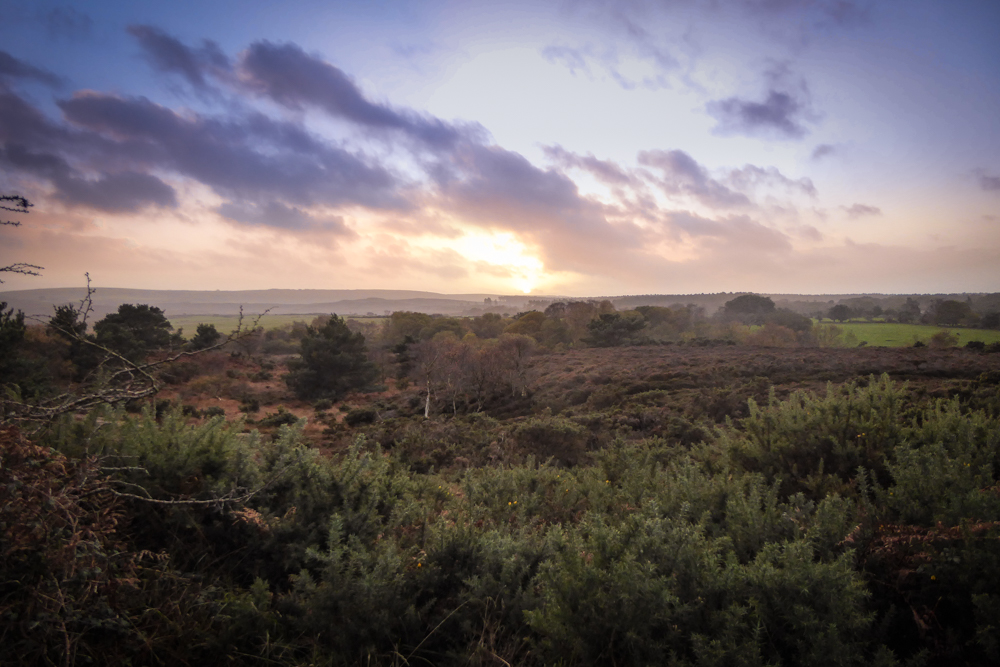 Sunset, Dorset, Studland, Enid Blyton