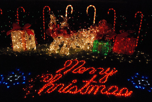 Festive Lights of New York