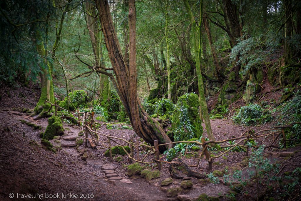 Why a Trip to Puzzlewood will make you believe in Fairytales