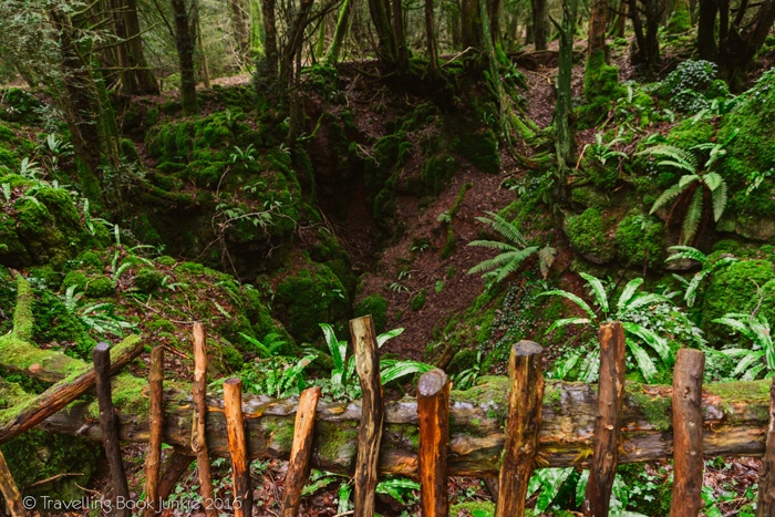 puzzlewood, hollywood, film, movie, locations, filming, enchanted, forest, star wars, blockbuster, england, british, secret,