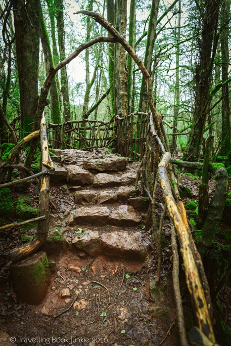 puzzlewood, hollywood, film, movie, locations, filming, enchanted, forest, star wars, blockbuster, england, british, secret,