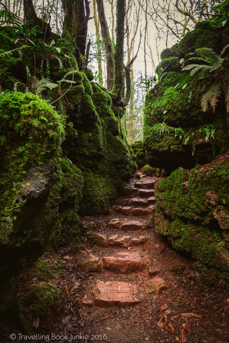 puzzlewood, hollywood, film, movie, locations, filming, enchanted, forest, star wars, blockbuster, england, british, secret,
