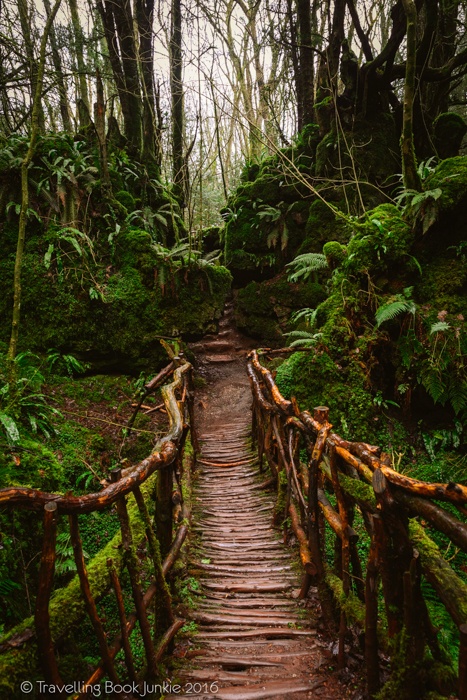 puzzlewood, hollywood, film, movie, locations, filming, enchanted, forest, star wars, blockbuster, england, british, secret,