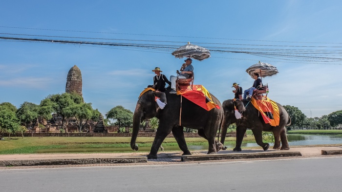 ayutthaya, market, night, temples, elephants, statues, buddha, lying, food, thai, old capital,