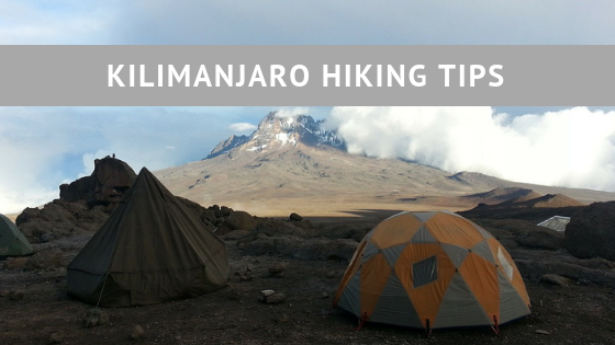 Kilimanjaro hiking tips for those who love an outdoor adventure climbing the highest mountain in Africa.
