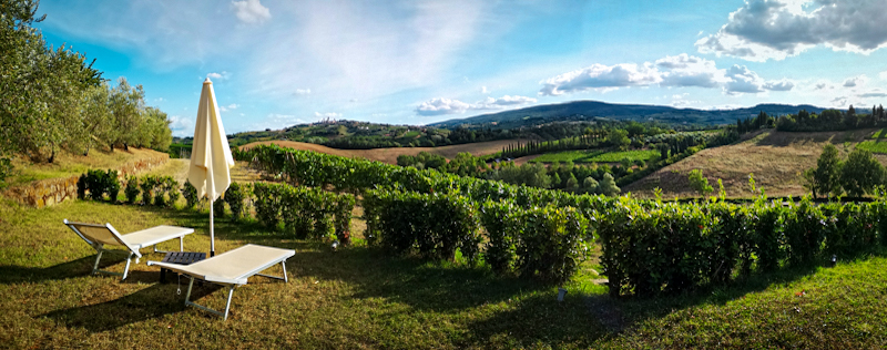 The vineyards of La Mormoraia stretch as far as the eye can see