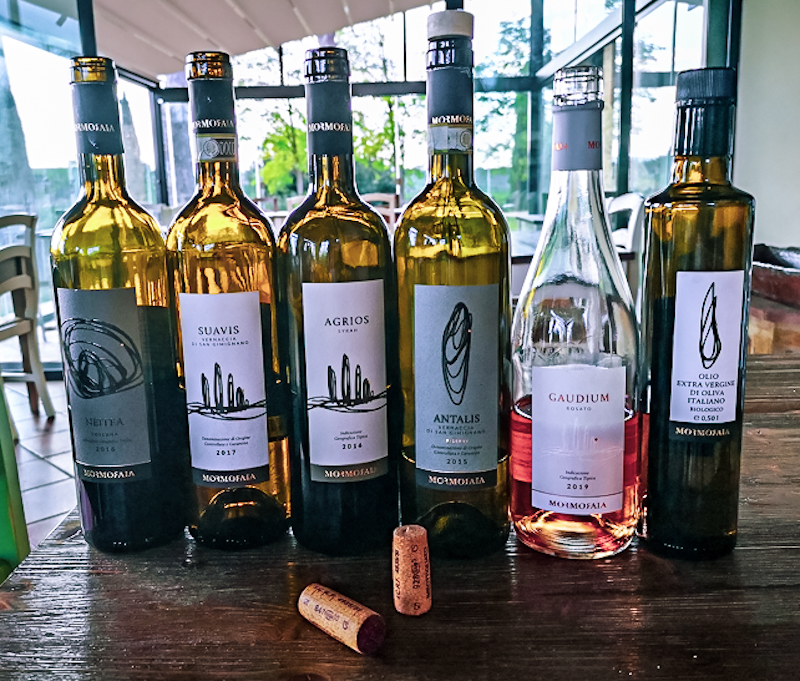 Wine tasting for an afternoon at La Mormoraia