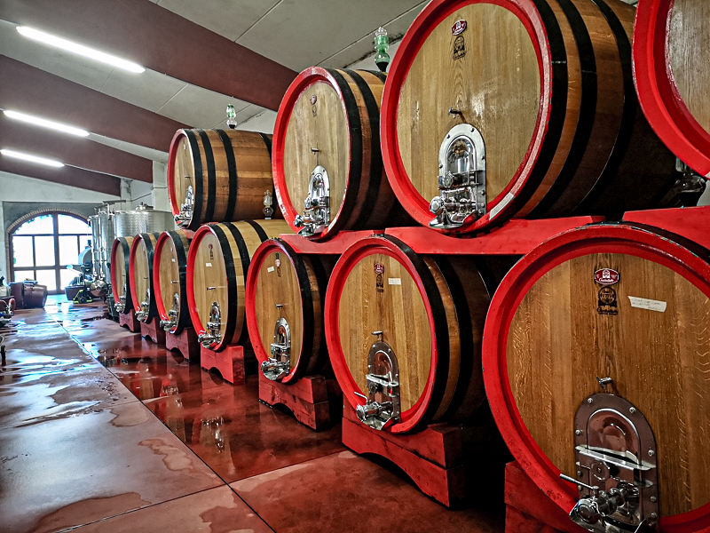 The oak wine barrels used to store La Mormoraia wines to help age them.