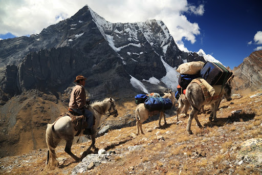 Trekking in South America. A caravan in Cordiliera Huayhuash, Peru.