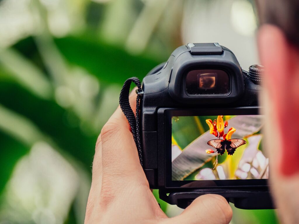 Images can be a great way to earn whilst travelling. People always want great photos from around the world