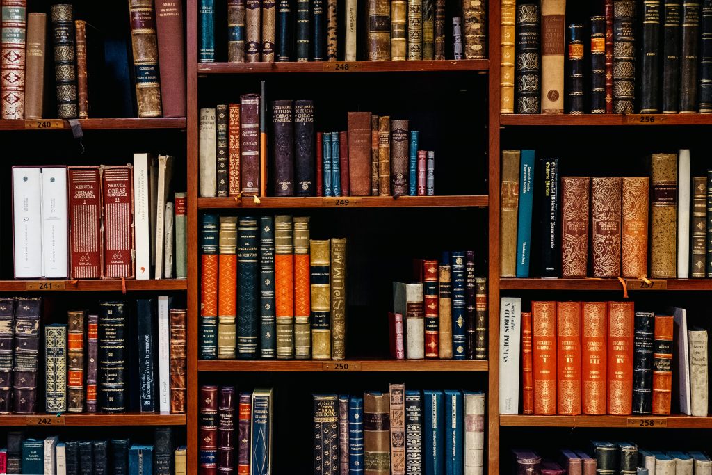 Library bookshelves are always worth exploring