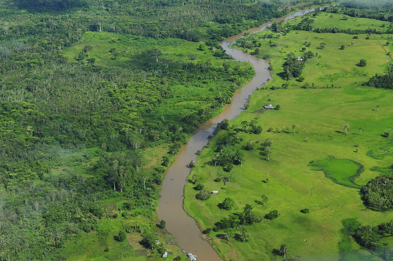 Amazon Rainforest in Brazil