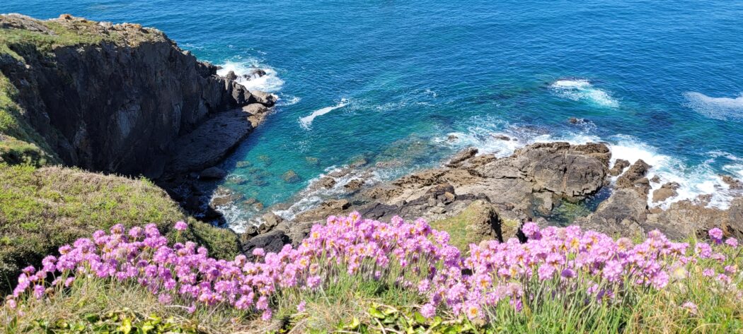 Camping L'Atlantique in the heart of Brittany, close to the glorious beaches and wonderful villages worth while exploring. Image provided by Is@ Chessyca from Unsplash