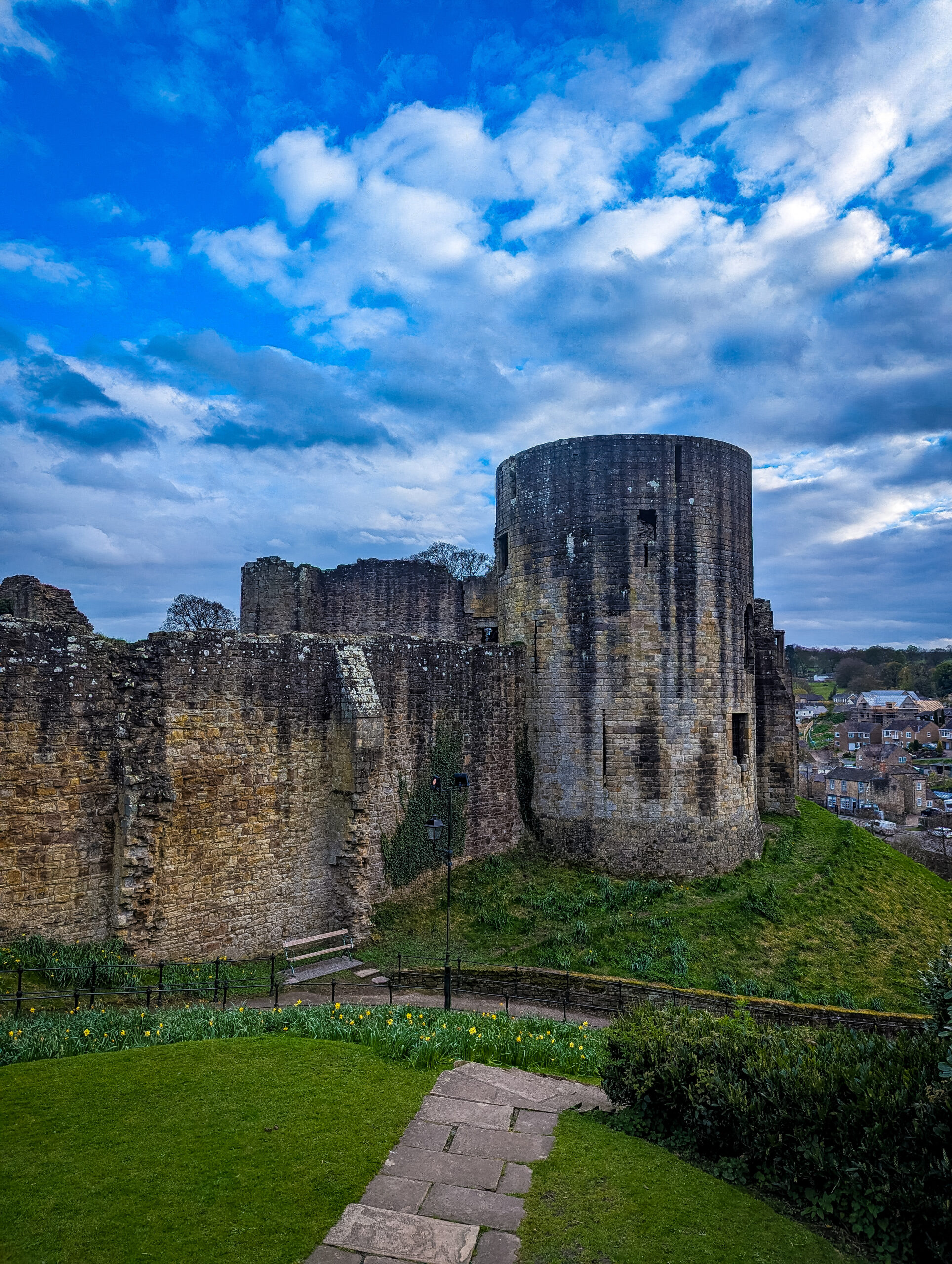 Uninhibited views of the castle from the park area