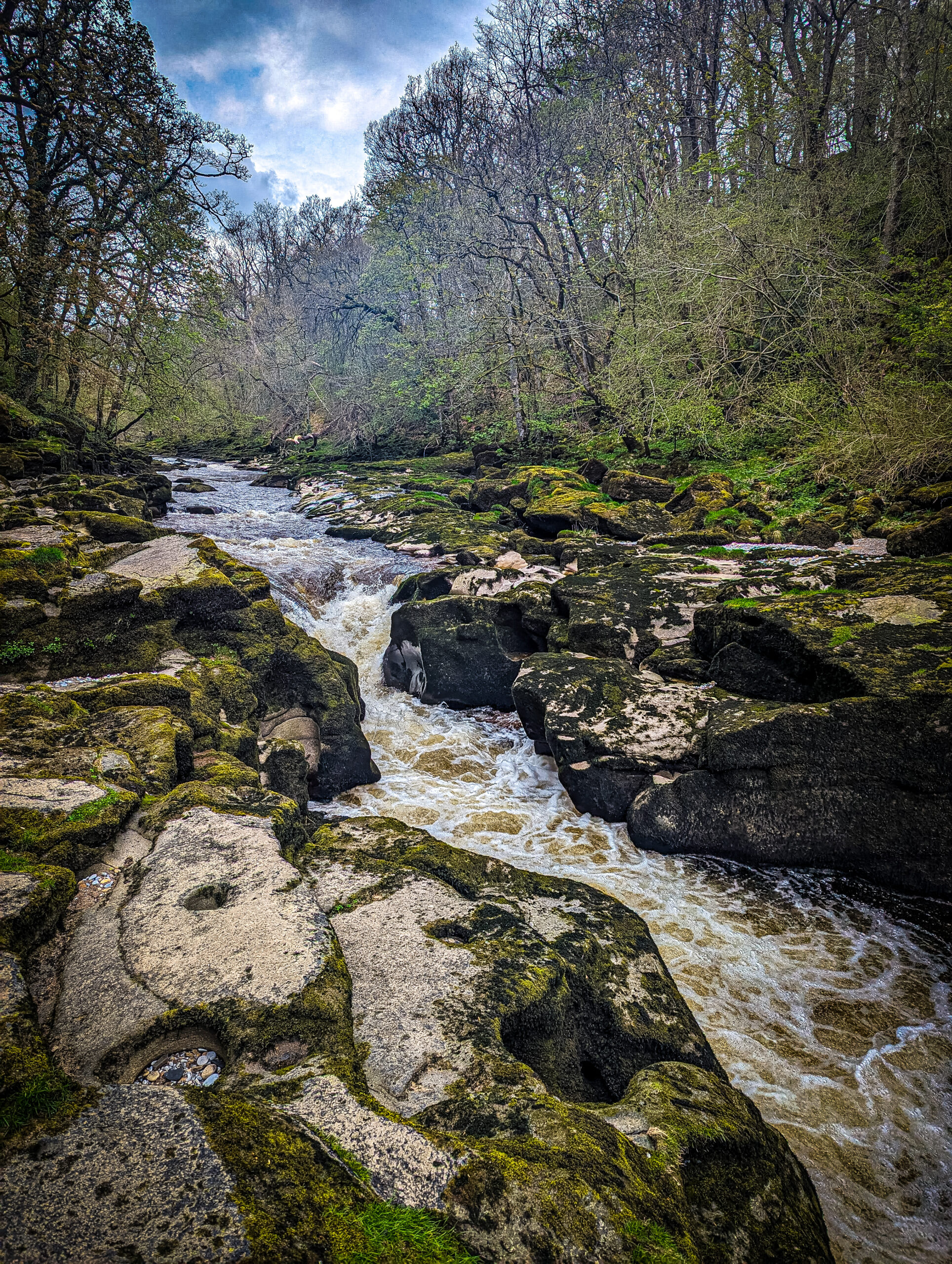 The Strid at Bolton Abbey in North Yorkshire