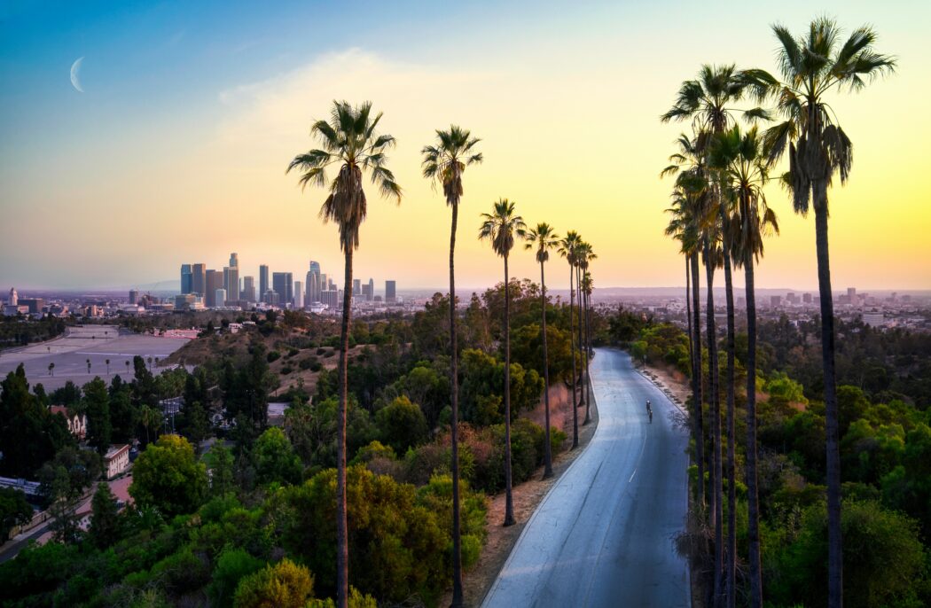 The Los Angeles skyline from afar